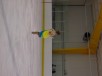Thumbs/tn_DSC05521.jpg