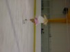 Thumbs/tn_DSC05536.jpg